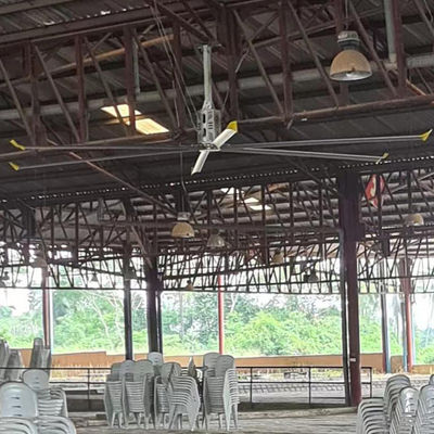 Powerful 1.5KW Ceiling Fan 5.5m 18FT for Farm Air Cooling and Industrial Ventilation