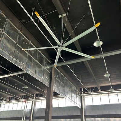 Good price Aluminum Magnesium Alloy DX/DS Hvls Giant Ceiling Fan With 6 Blades Customization online