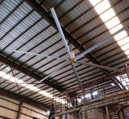 Good price Big Size Air Cooler as Exhaust Fan for Warehouse Cooling Down Hvls Fan online